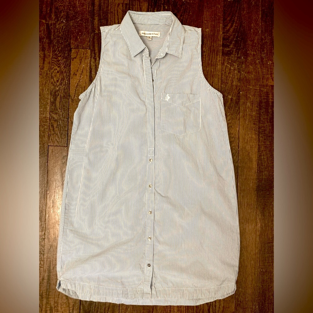 ABERCROMBIE & FITCH Shirt Dress : Blue and White Stripe - Medium